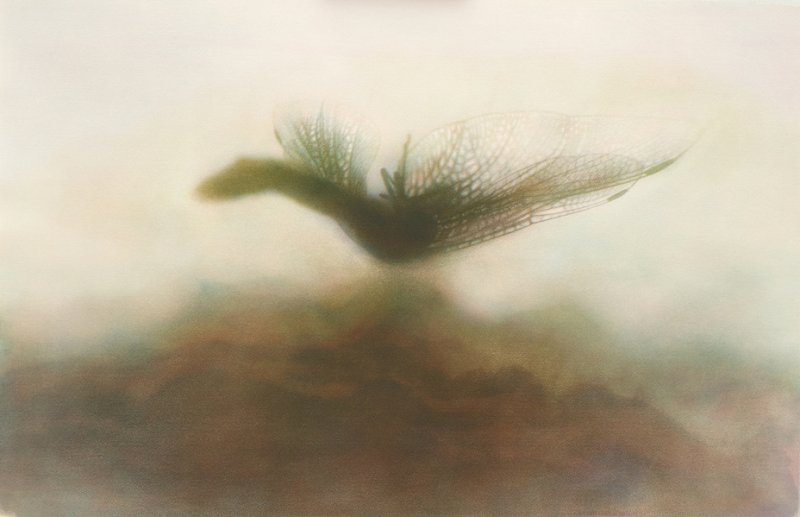 그럼에도 불구하고 26-0