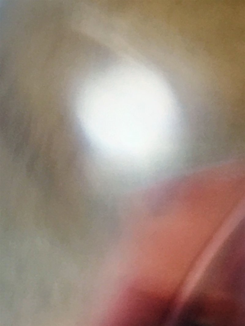 A dwelling for immortals-0