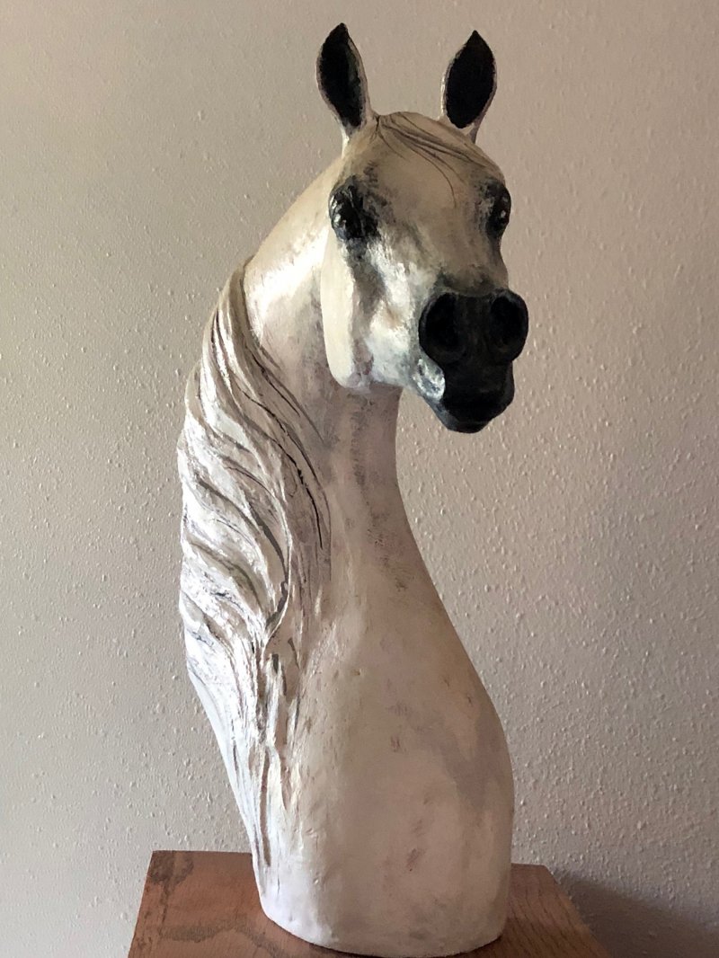 Arabian Mare, Mana-0