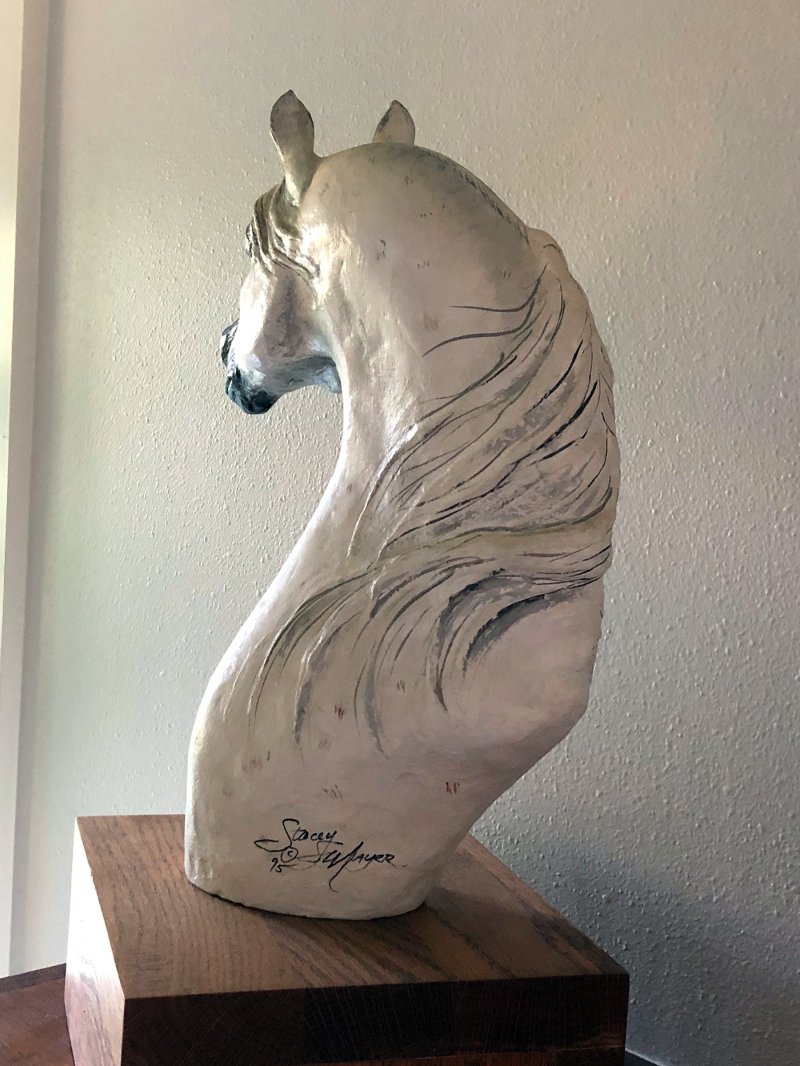 Arabian Mare, Mana-2