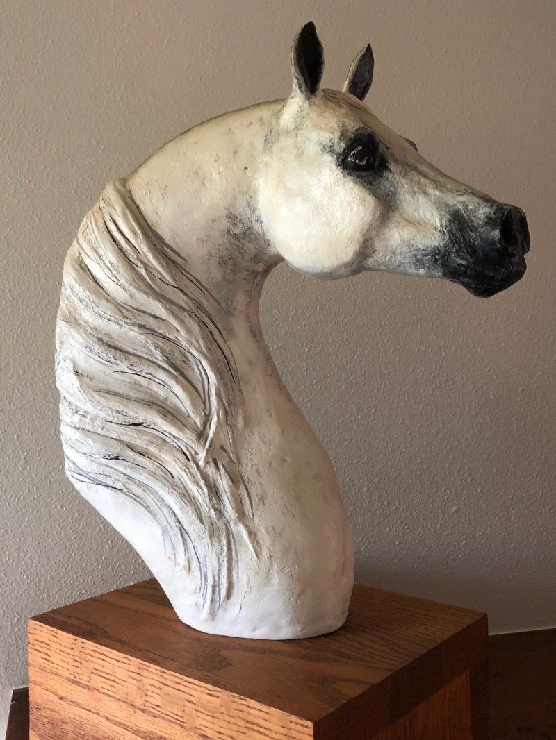 Arabian Mare, Mana-3