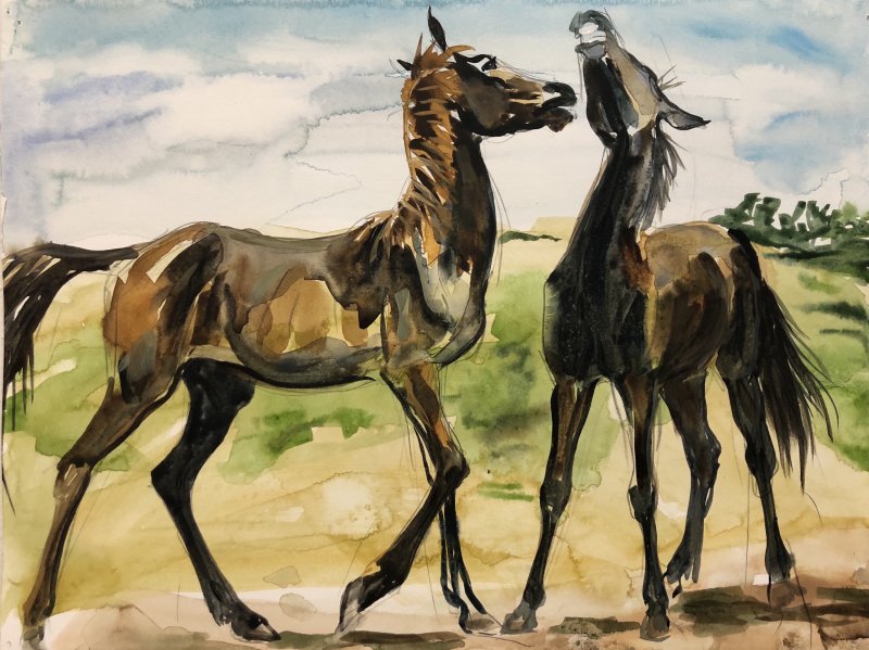 Brittany Yearlings-0