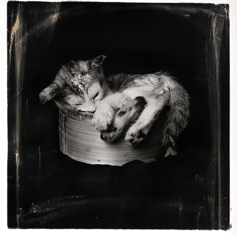 DIMSUM AT MORAN MARKET-0