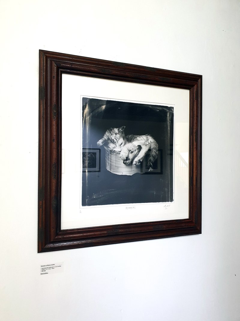 DIMSUM AT MORAN MARKET-1