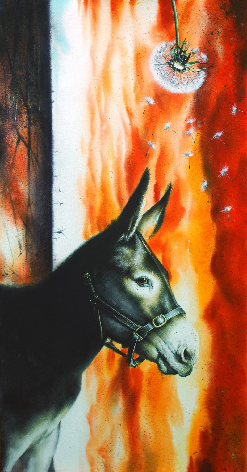 Dandelion donkey-0