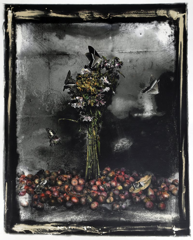 Inhabitants of fairyland-0