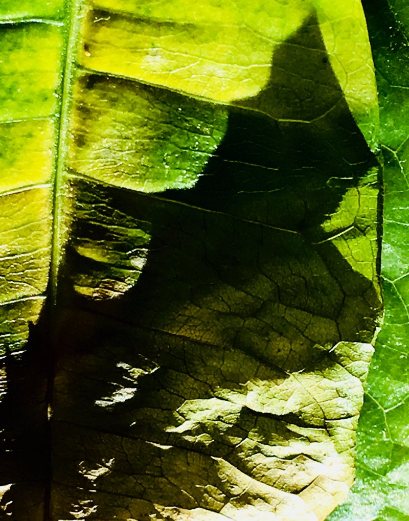 It all came to a head-0