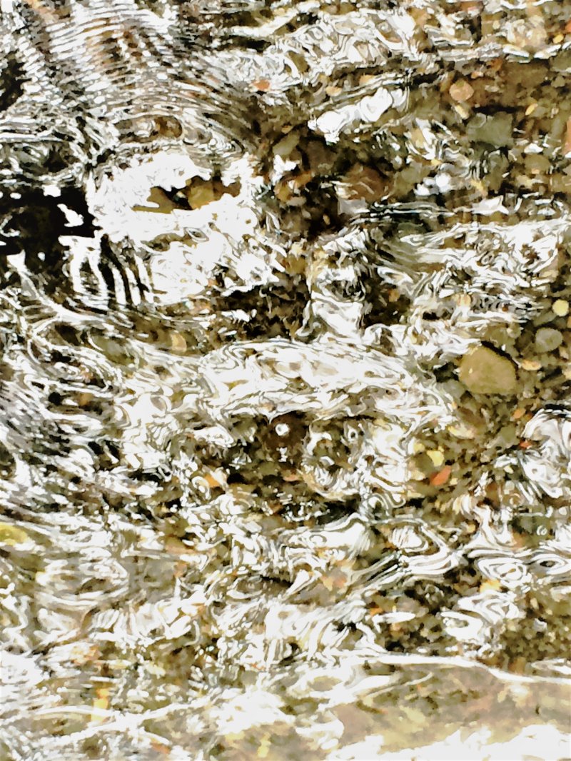 Jackson on the River-0