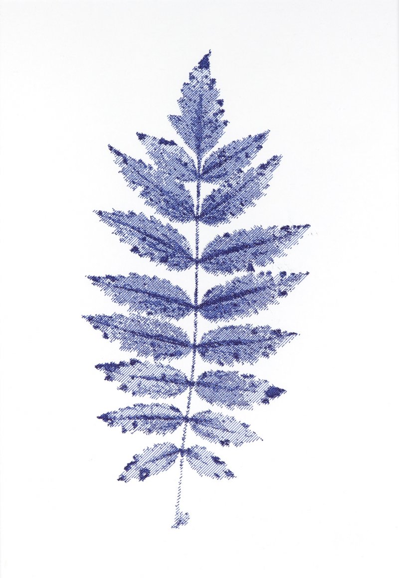Leaf - blue-0