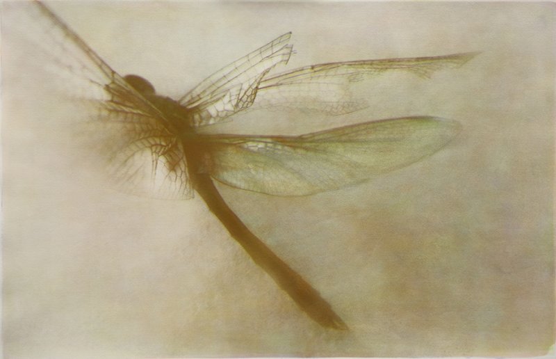 그럼에도불구하고/Nevertheless no.22-0