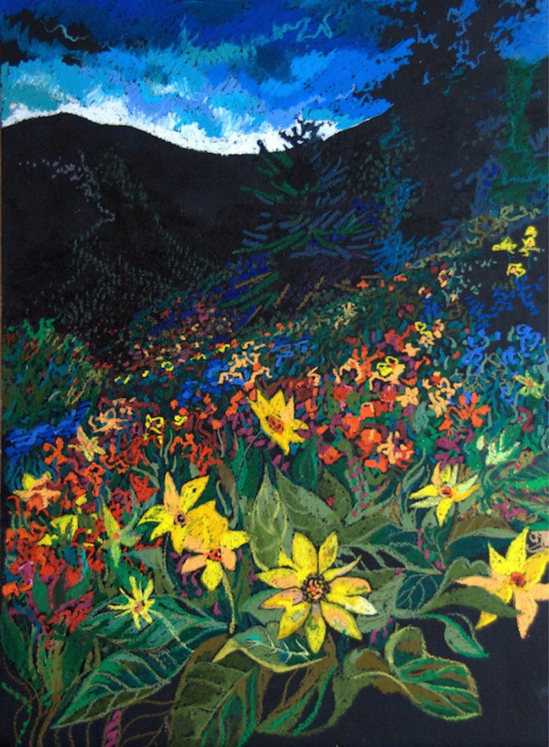 Spring in the Mountains-0