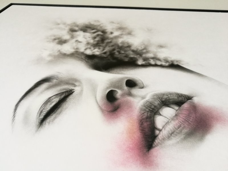 Test Studio 0389 #1-3