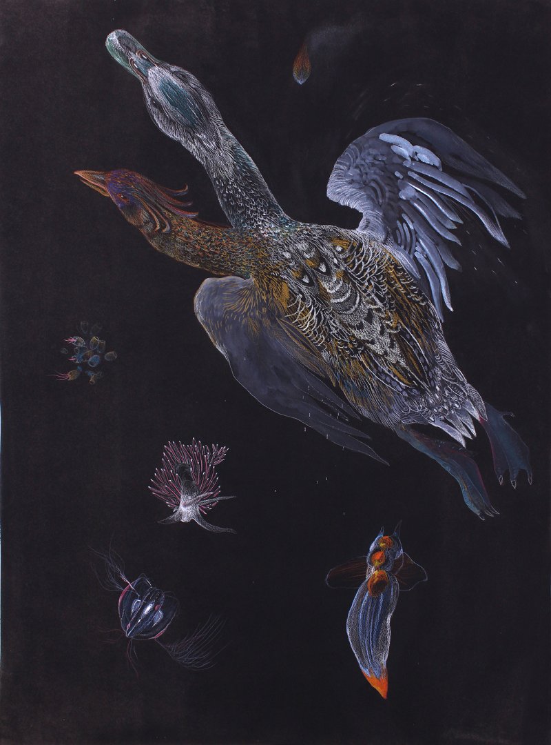 Where are we headed, burning in water-0