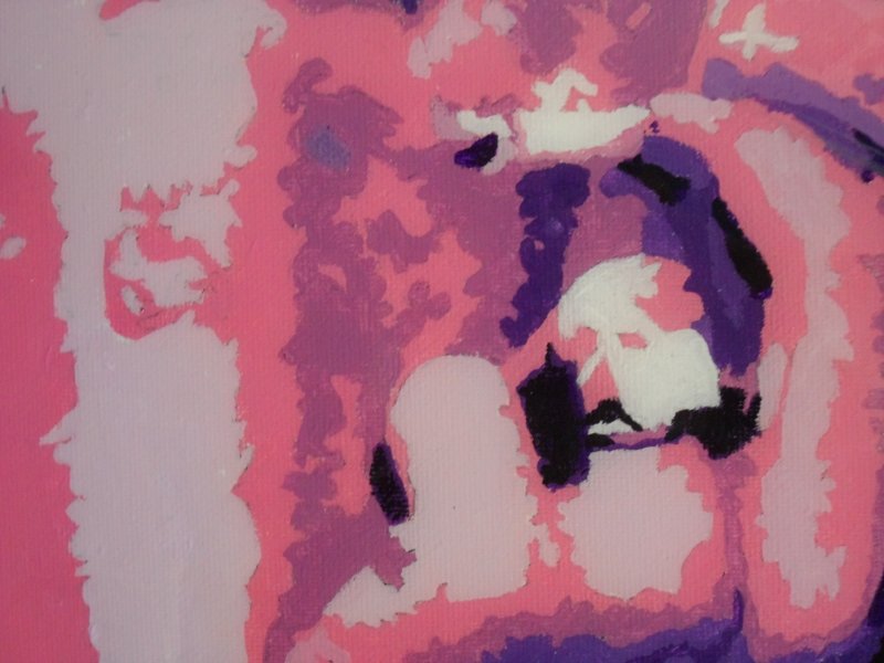 crazy,sexy,COOL Trilogy - Steve McQueen-2